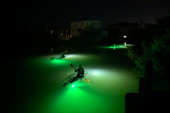 Sharkey's Glass Bottom Fish Feeding LED Night Tour in Venice, FL - Who Will Love This Tour?