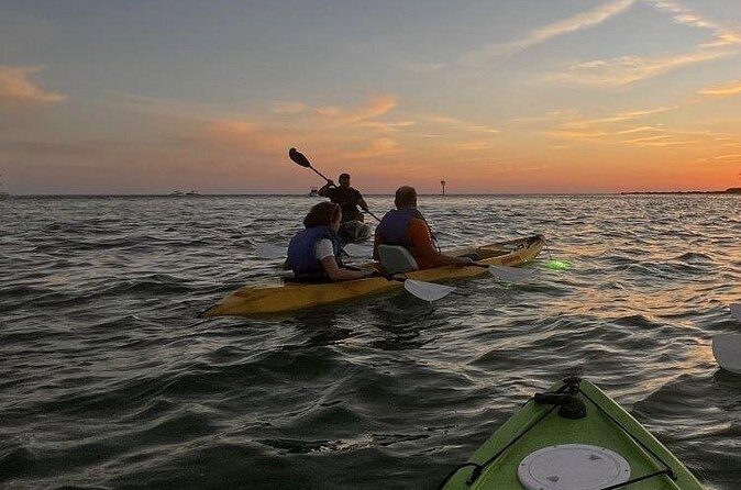 Sharkeys Glass Bottom Fish Feeding LED Night Tour Key West - Who This Tour Is Best For
