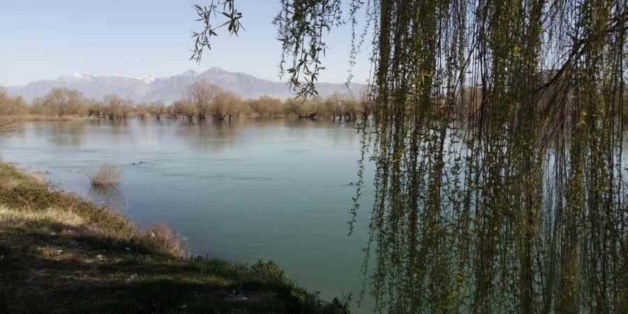 Shkodër Culinary & Wellness Experience Hidden Gems - Exploring Shkodër’s Hidden Culinary & Wellness Treasures