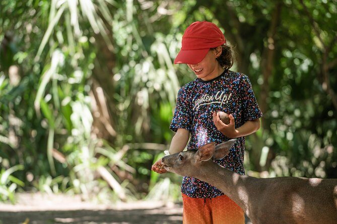 Shore Excursion Mazunte and Ventanilla Crocs & Turtles - Authentic Insights from Previous Travelers