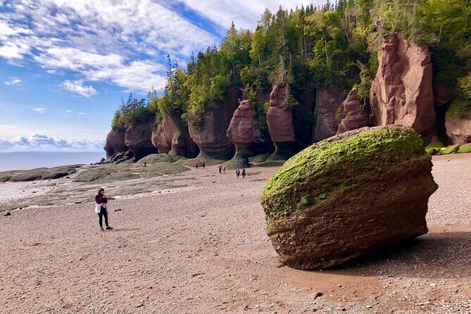Shore Excursion to Hopewell Rocks and Fundy National Park - Why This Tour Works Well