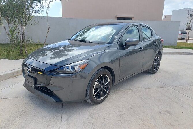 Shuttle Service Cancun Airport Hotel Zone 1 to 6 Persons - What to Expect from the Cancun Airport Shuttle Service