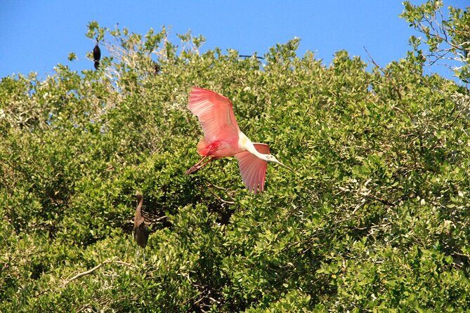 Sian Ka'an Classic - What to Keep in Mind