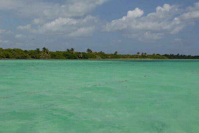 Sian Kaan Reserve Private Bike Tour - The Practicalities: Price, Duration, and What’s Included