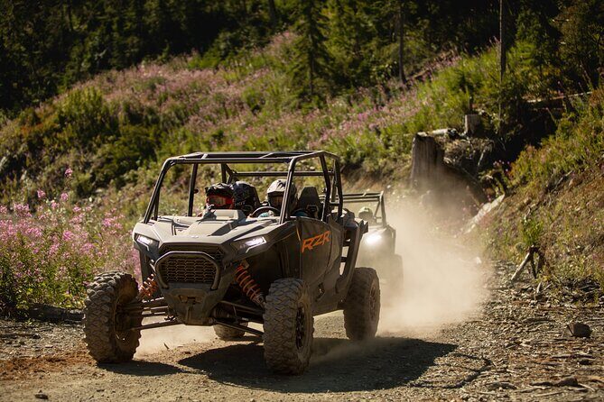 Side-by-Side Off-Roading Adventures on Cougar Mountain - Detailed Itinerary Breakdown