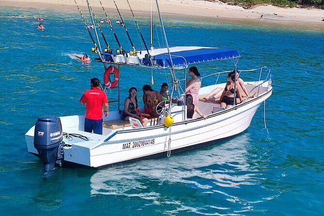 Sighting DE Marine Mammals and Snorkeling - Final Thoughts: Is It Worth It?