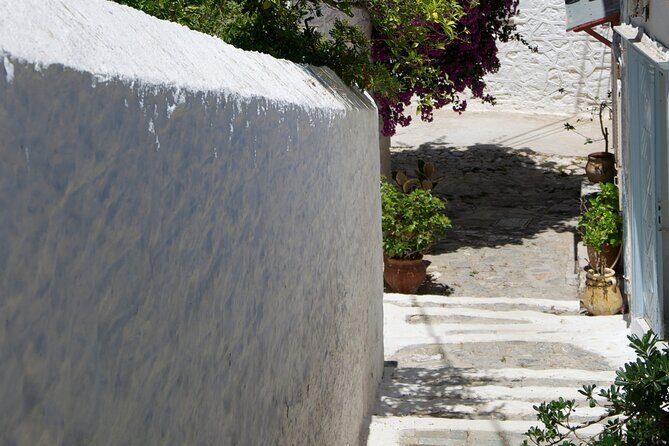 Sightseeing Private Tour in Athens Acropolis (Elysium Travel) - What the Tour Includes and What It Doesn’t