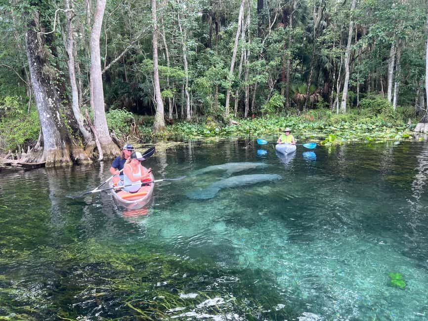 Silver Springs: Manatees, Monkeys, and Natural Spring Tour - The Itinerary: A Day in the Water