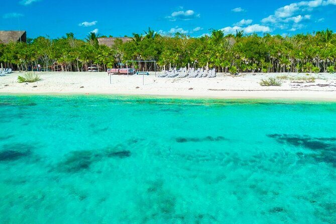 Sip and Sea A Mexican Mixology Escape - The Mixology Class: Crafting Mexican Cocktails