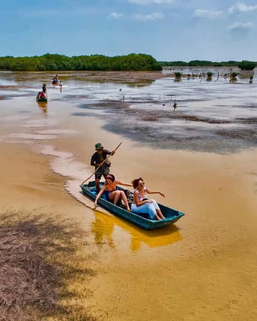 Sisal Yucatán: Flamingo Safari Tour Mangroves - Canoeing Through the Mangroves