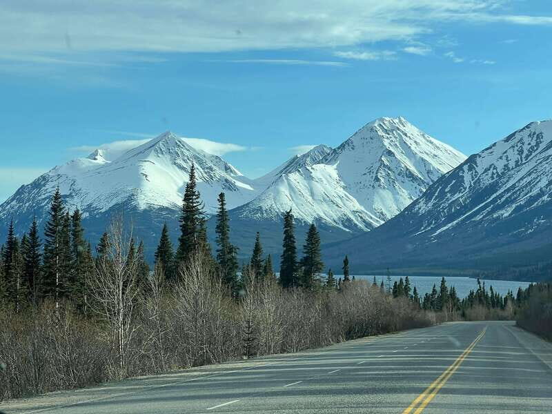 Skagway: Yukon Dog Mushing & Sightseeing Tour - Price and Value Analysis