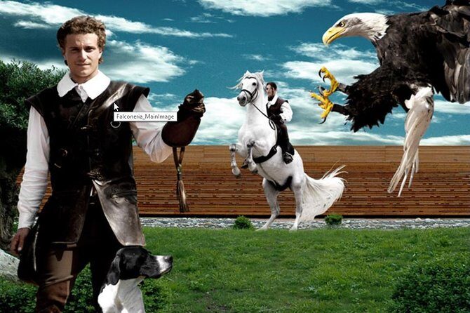 Skip the Line: Falconeria Locarno Ticket - The Traveler Experience: What People Are Saying