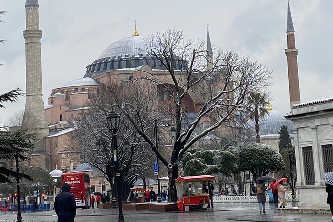 Skip The Line Istanbul Historical Peninsula Tour From Cruise Port - Who Will Enjoy This Tour?