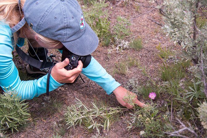 Slough Creek Naturalist Day Hike - Who Is This Tour Best For?