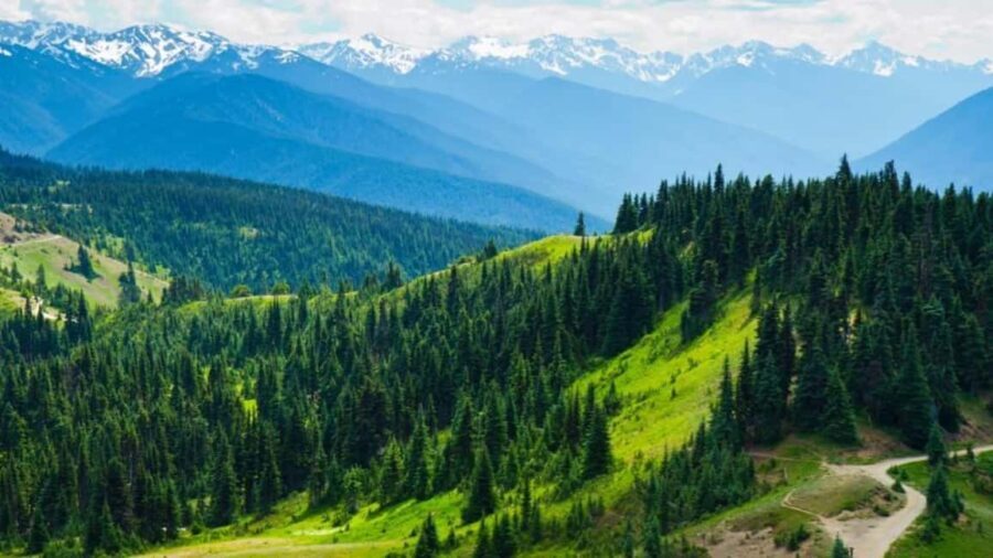 Small Group: Olympic National Park Day Tour From Seattle - Detailed Itinerary Breakdown