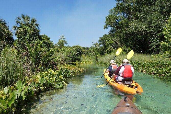 Small Group Rock Springs Run Eco Kayak Adventure - The Sum Up: Is It Worth It?