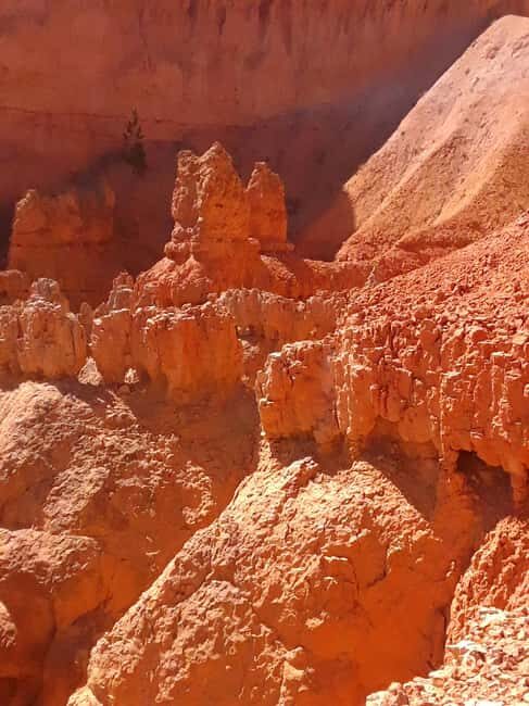 Small Group Tour Zion & Bryce Canyon National from Las Vegas - The Value of a Small Group Tour