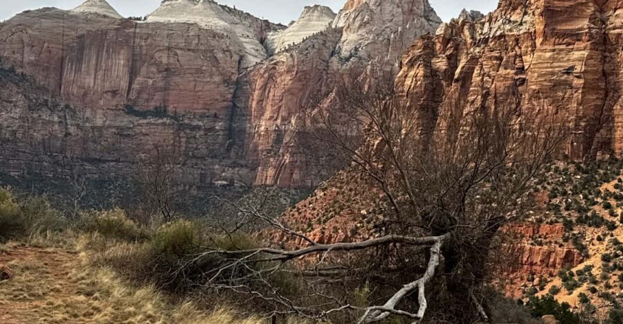 Small Group Tour Zion Bryce Canyon National from Las Vegas - The Experience of the Guides