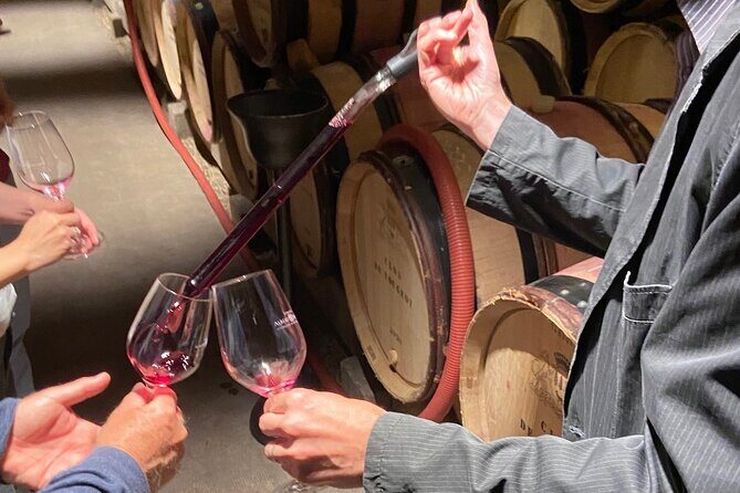 Small Group Wine Tasting Tour Côte de Beaune and Côte de Nuits - A Closer Look at the Itinerary