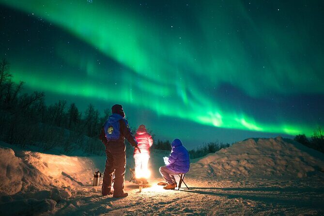 Small Northern Lights Tour Max8 Guests PRO Photographer included - The Experience Through the Reviews