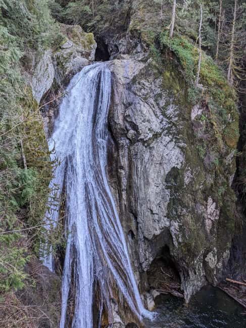 Snoqualmie, Twin Falls & Ancient Forest (Transport Included) - Transportation and Group Size