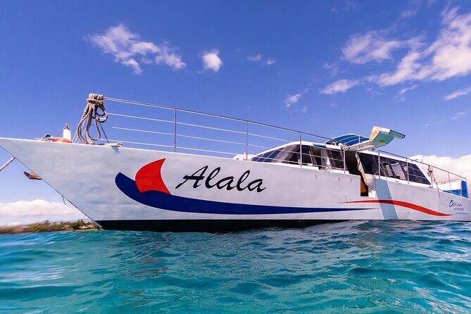 Snorkel Adventure from Kawaihae Harbor - Snorkeling: The Heart of the Tour