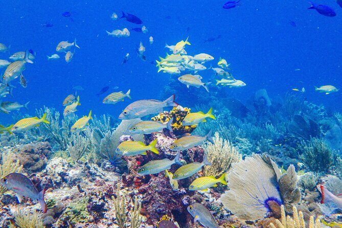 Snorkel at El Farito - The Lighthouse Reservation - Final Thoughts