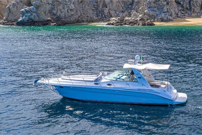 Snorkel or Sunset in La Paz aboard a 42 feet Yacht - Snorkeling with Sea Lions and Marine Wildlife