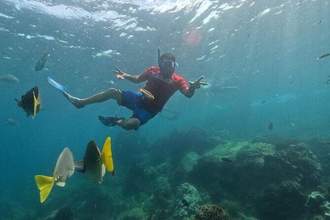 Snorkel Tour in private Trimarán in Los Cabos - Practical Details & Tips