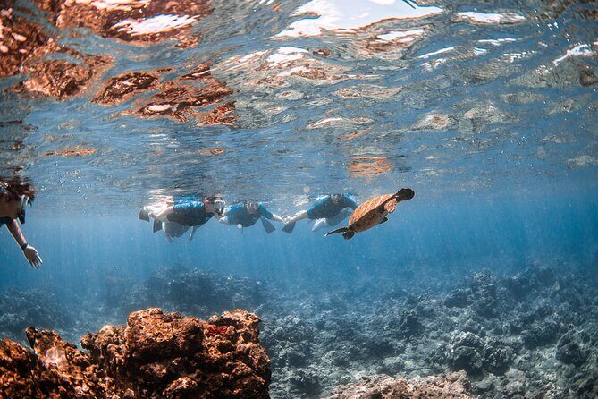 Snorkel with Turtles and Free Underwater Photos Lahaina - Who Should Book This Tour?