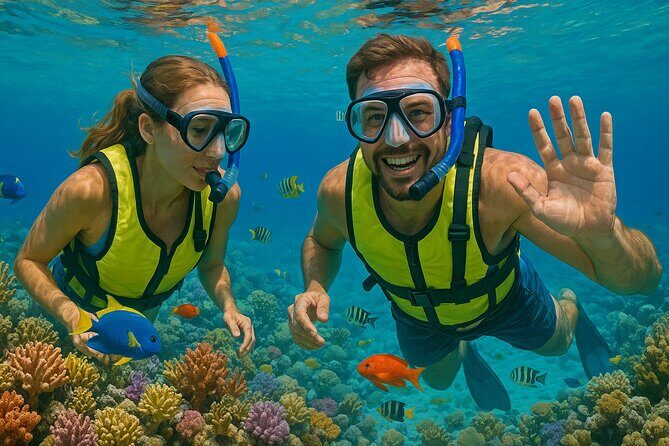 Snorkeling adventure at Puerto Morelos Reef National Park - Who It’s Best For
