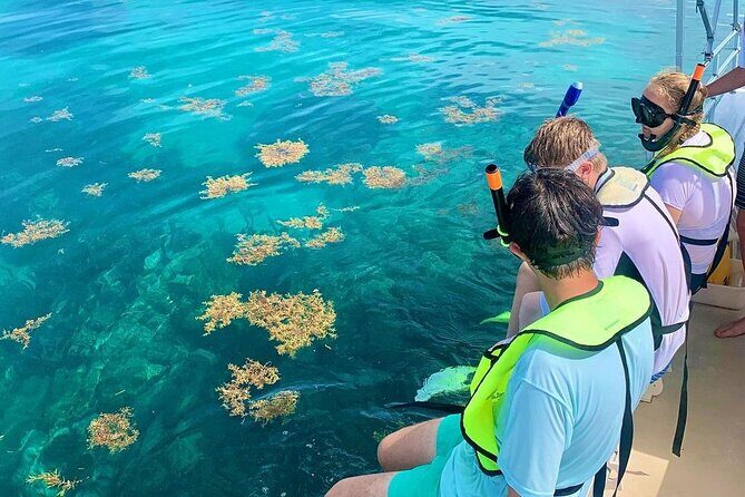 Snorkeling Adventure in Tulum Beach, Kaan Luum Lagoon and Cenote - Additional Inclusions and Cost Breakdown