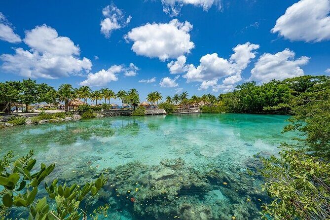 Snorkeling Adventure with Lunch and Tequila Tour - Food and Drinks: A Tasty Break