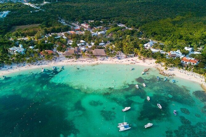 Snorkeling Experience with Turtles in Cenote in Riviera Maya - Authentic Feedback from Travelers