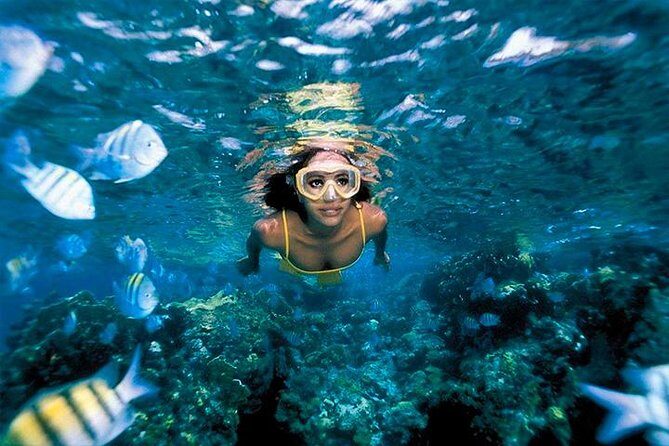 Snorkeling & Kayacking Day Trip Royal Garrafon Park Bassic Classic - Authentic Experiences and Real Traveler Feedback