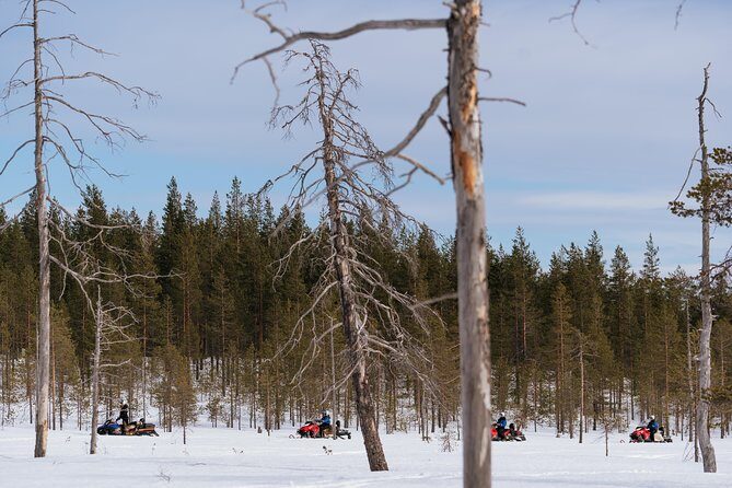 Snowmobile Safari into the Wilderness, Apukka Resort Rovaniemi - Final Thoughts on Value and Authenticity