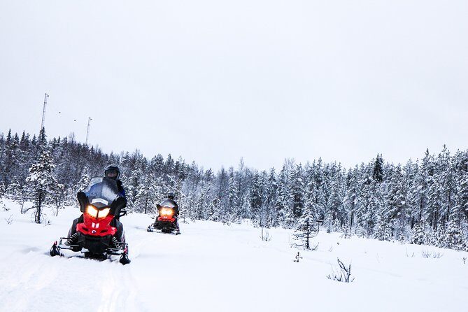 Snowmobile Safari on the Tundra - Analyzing Value: Is the Price Worth It?