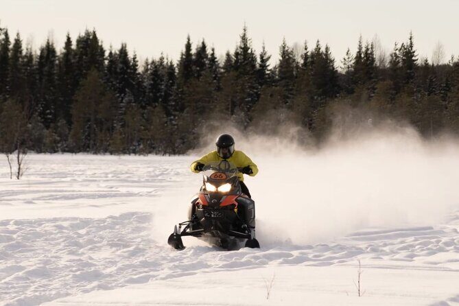 Snowmobile Tours in Rovaniemi Lapland - Final Thoughts: Is This Tour for You?