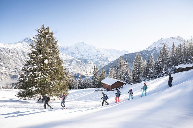 Snowshoe Adventure in the Swiss Alps - Group Size and Social Atmosphere