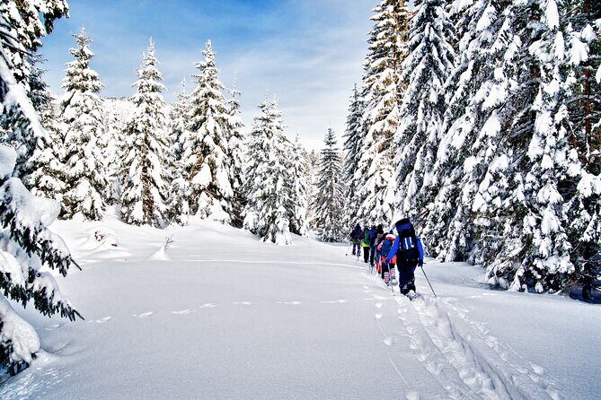 Snowshoeing in Levi - Authenticity and Practical Tips