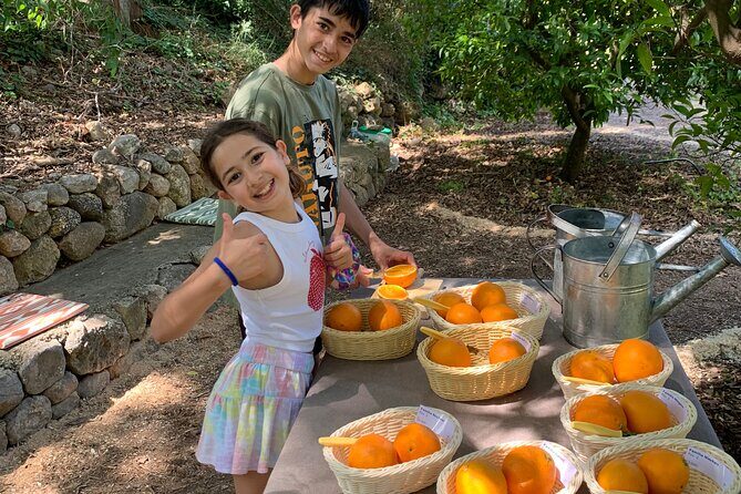 Soller Valley Private Tour and Walking in Orange Paradise - Walking Through Biniaraix and the Soller Valley