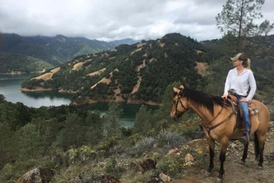 Sonoma: Horseback Riding Tour to Skaggs Vista Mountain - The Itinerary in Detail