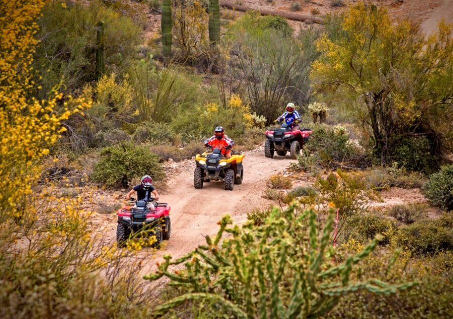 Sonoran Desert: Guided UTV or ATV Desert Tour - The Sum Up