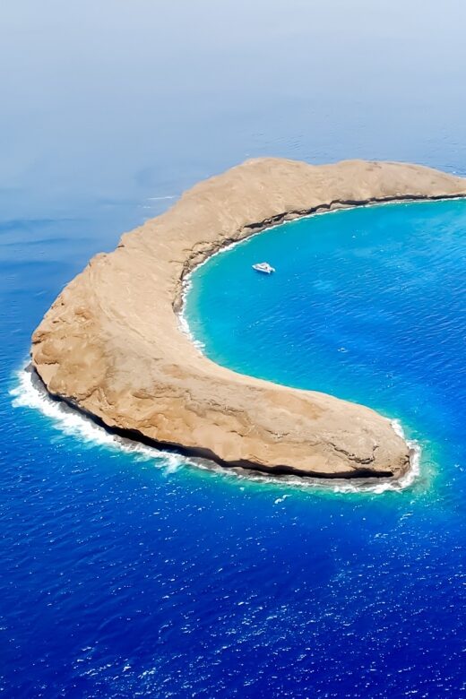 South Maui: Molokini & Turtle Adventure from Maalaea Harbor - What Makes This Tour Special