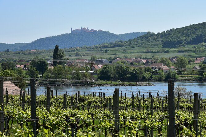 Sparkling carriage ride through Krems and the Wachau vineyards - Who Will Enjoy This Experience?