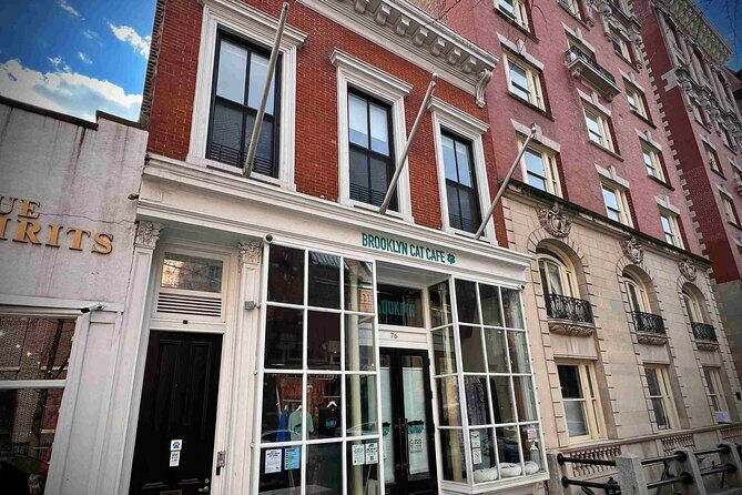 Splendor and Scandal in Brooklyn Heights: A Self Guided Tour - An Overview of What’s Included