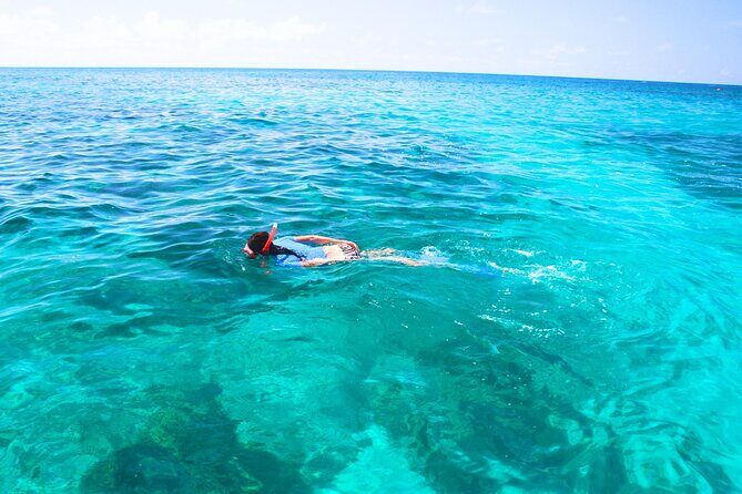 Split: Blue Lagoon & 3 Islands Speedboat Tour - Small group - What’s Included and What to Expect