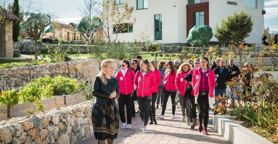 Split: Green Line with Open Bus to Klis & Olive Museum - Analyzing the Value