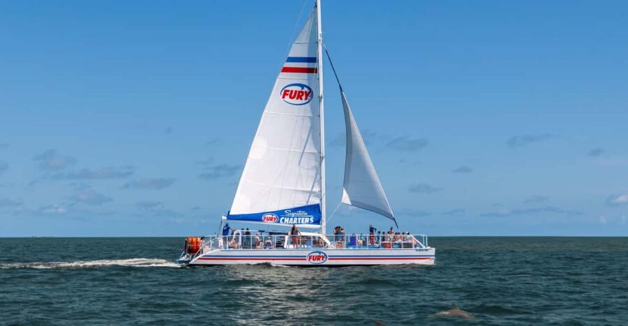 St. Augustine: Dolphin Watching Harbor Tour with Drinks - Authentic Traveler Insights