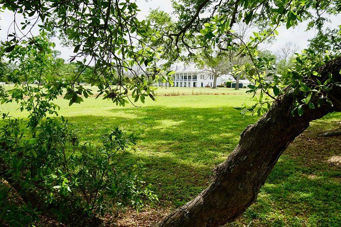 St. Joseph Plantation Tour - Practical Details